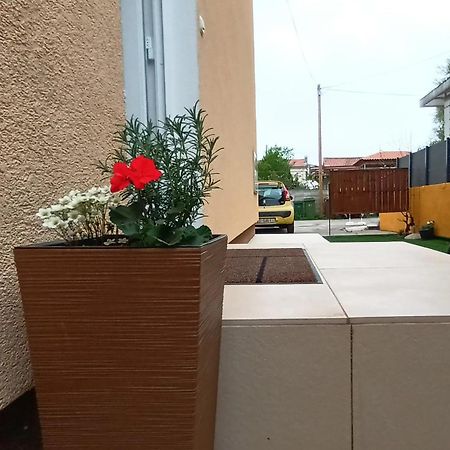 Apartman Sandra -Private Parking And Garden ザダル エクステリア 写真