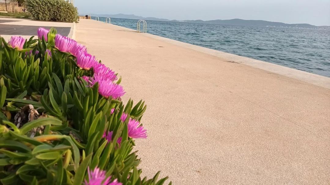 Apartman Sandra -Private Parking And Garden ザダル エクステリア 写真